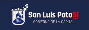 Capacitación Municipal SLP